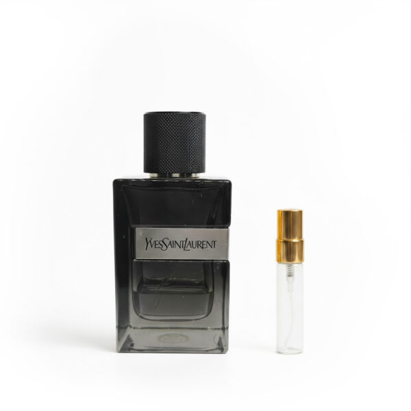 Yves Saint Laurent - Y